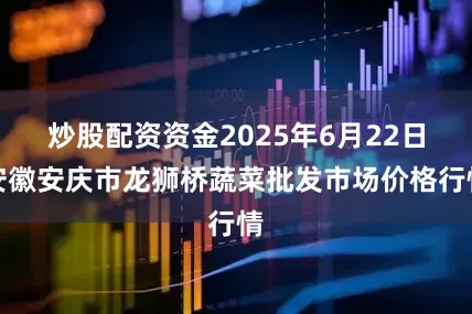 炒股配资资金2025年6月22日安徽安庆市龙狮桥蔬菜批发市场价格行情